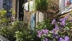 Kelston Guest House