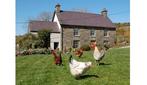 Nantgwynfaen Organic Farm Wales