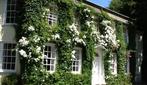 Rose in Vale Country House Hotel